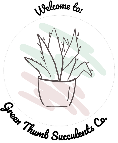 Welcome to Green Thumb
          Succulents Co.