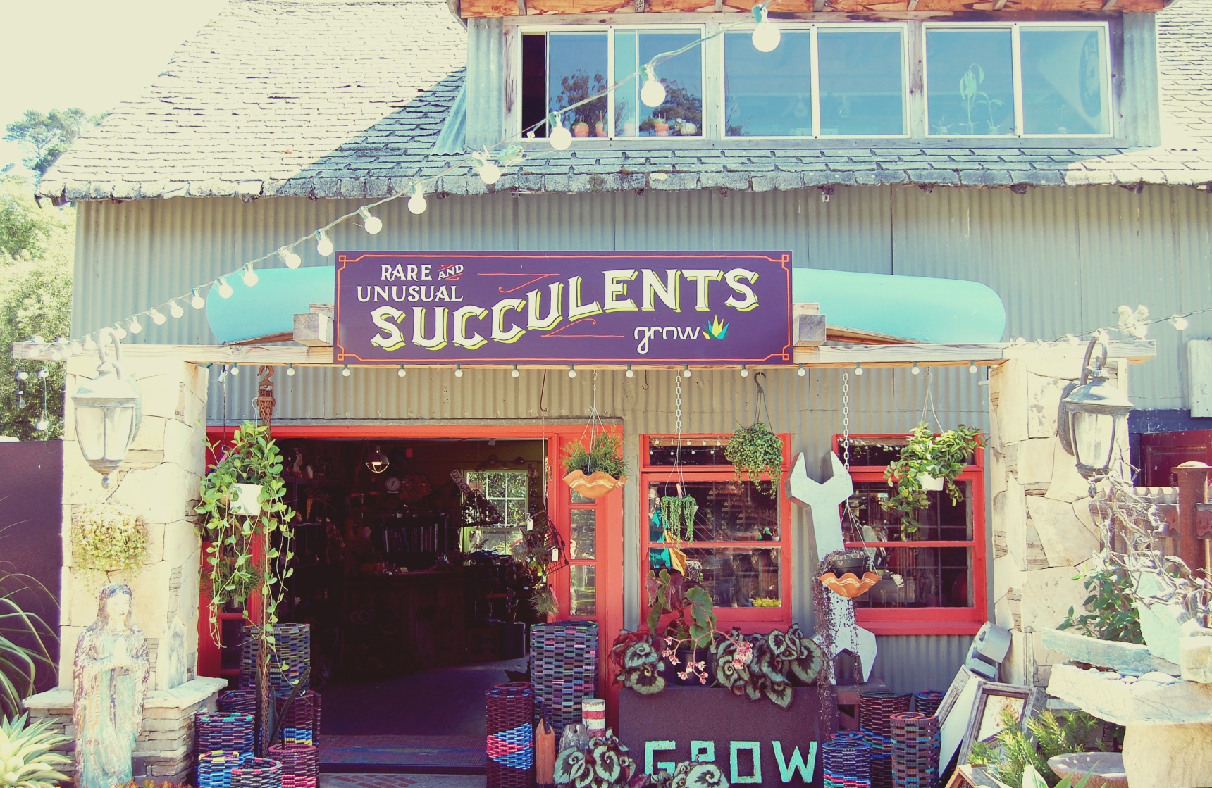 The exterior of Green Thumb Succulents Co. in Phoenix, Arizona